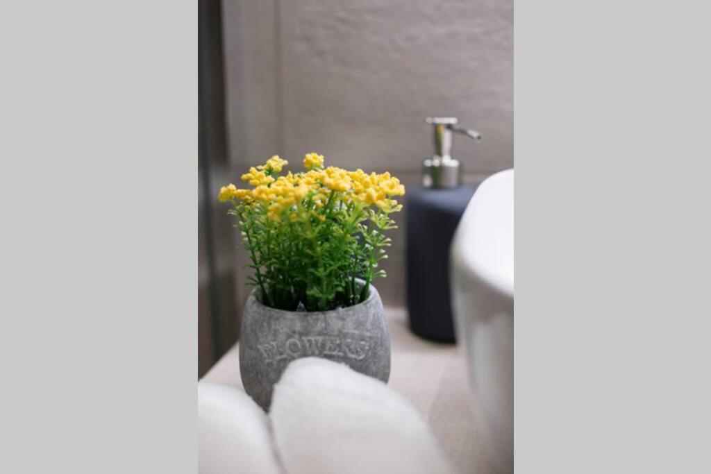 City Center Modern Renovated Apartment アテネ エクステリア 写真